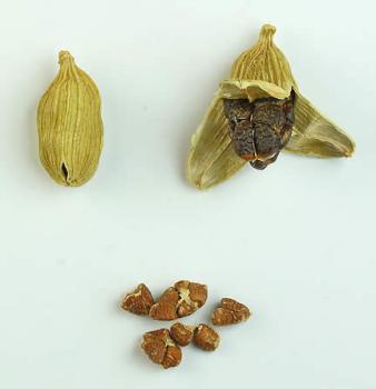 Cardamom