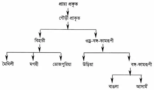 বাঙলা ভাষা ও সাহিত্যের খসড়াচিত্র