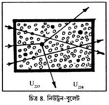 চিত্র 8. নিউট্রন-বুলেট