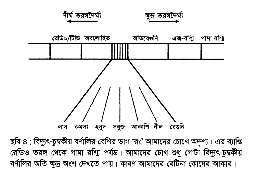 ছবি ৪ : বিদ্যুৎ-চুম্বকীয় বর্ণালির বেশির ভাগ ‘রং’ আমাদের চোখে অদৃশ্য।