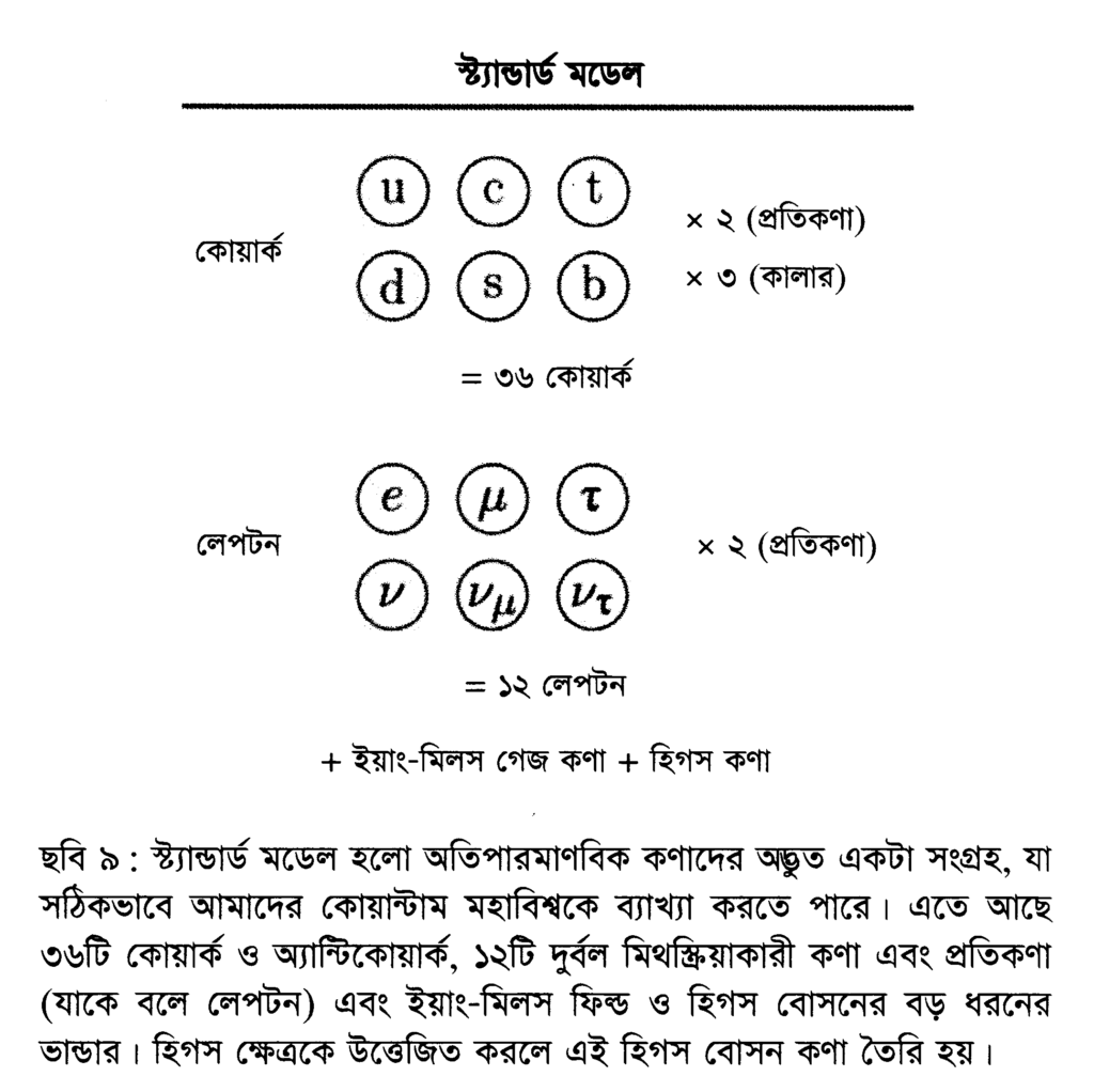 ছবি ৯ : স্ট্যান্ডার্ড মডেল হলো অতিপারমাণবিক কণাদের অদ্ভুত একটা সংগ্রহ, যা সঠিকভাবে আমাদের কোয়ান্টাম মহাবিশ্বকে ব্যাখ্যা করতে পারে