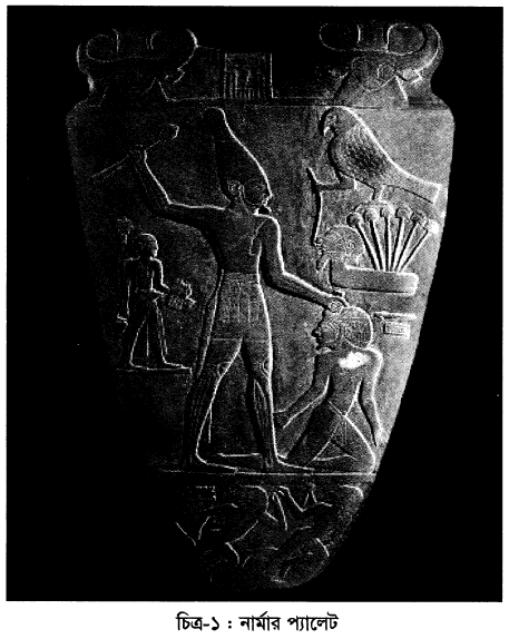 চিত্র-১ : নার্মার প্যালেট 