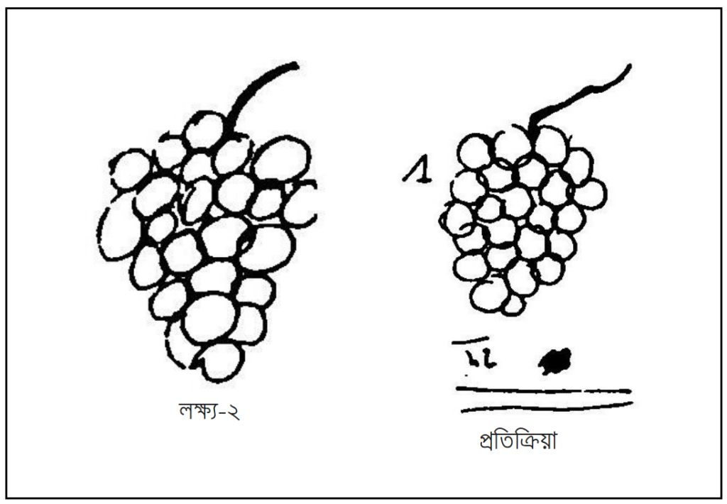 চিত্র-২