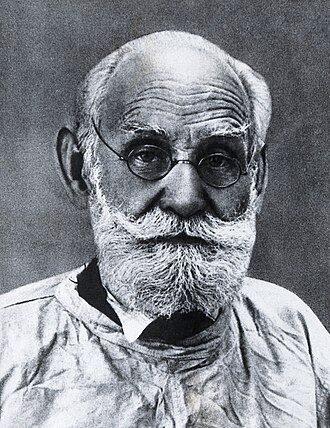 পাভলভ