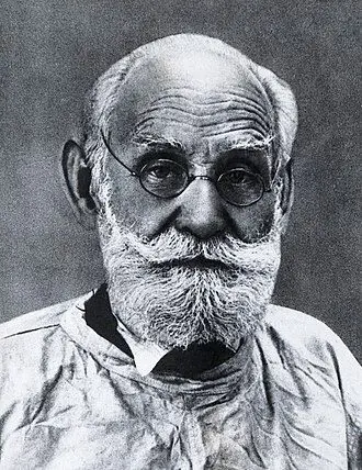 পাভলভ