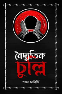 বৈদ্যুতিক চুল্লি - শঙ্কর চ্যাটার্জী