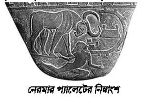 নেরমার প্যালেটের নিম্নাংশ