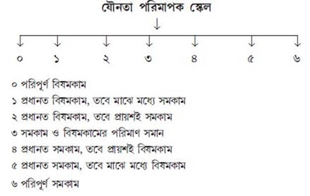 কারণের সন্ধানে