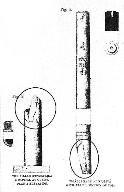 কপিলাবস্তু রহস্য